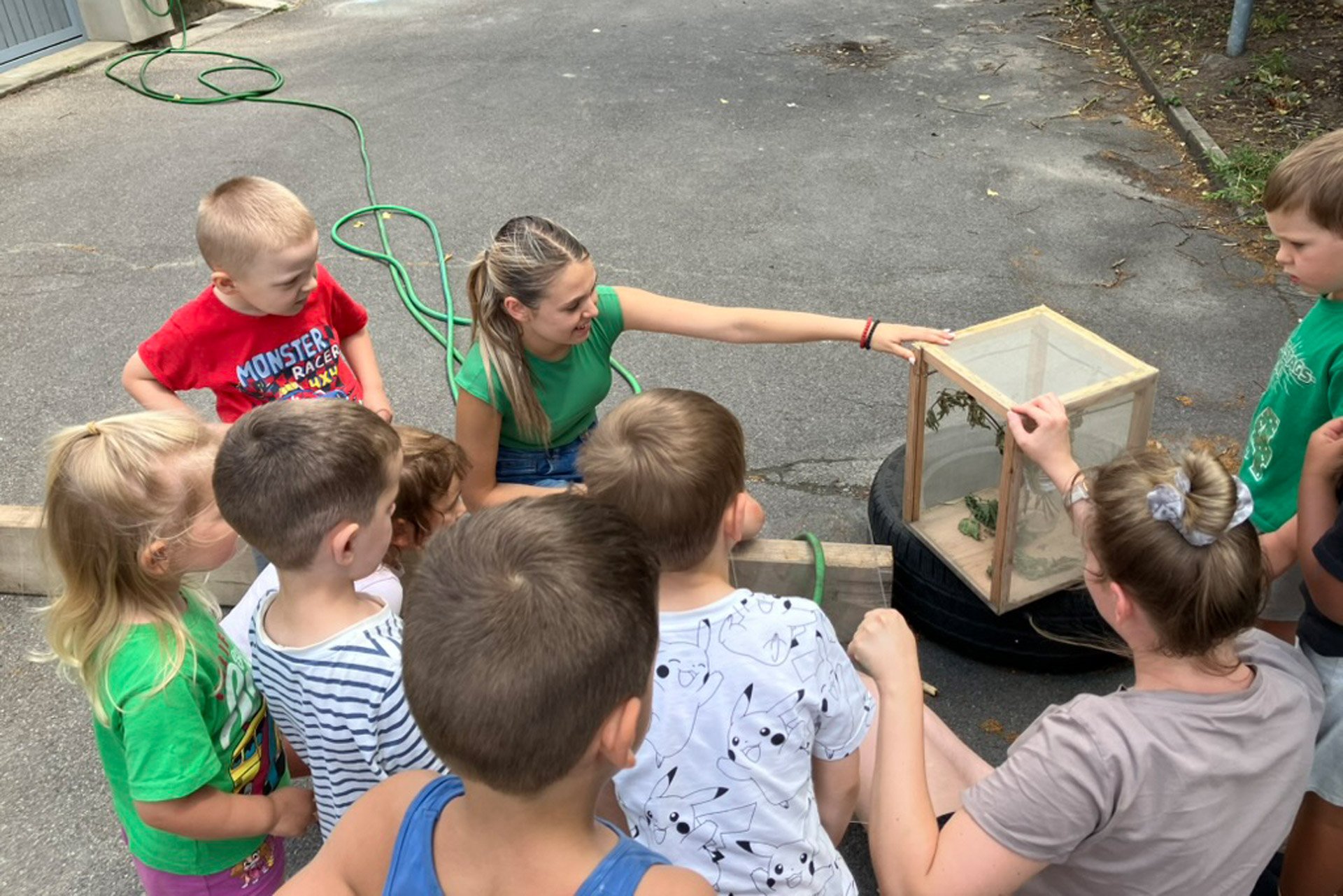 Kita kidsco Münschenmier zusammen mehr über Schmetterlinge erfahren