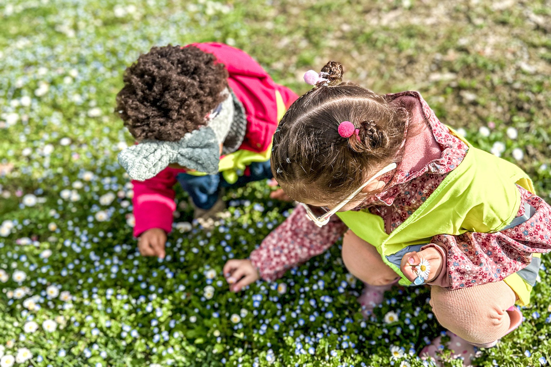 Kita kidsco au Lac Entdecken auf der Blumenwiese