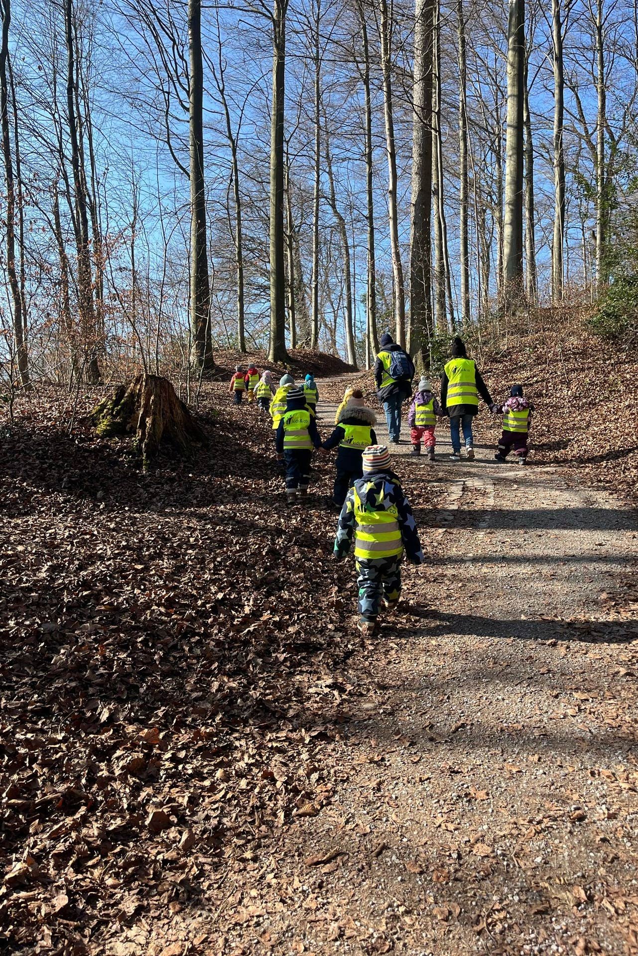 Kita kidsco City Betreuer:innen und Kinder bei einem gemeinsamen Waldspaziergang