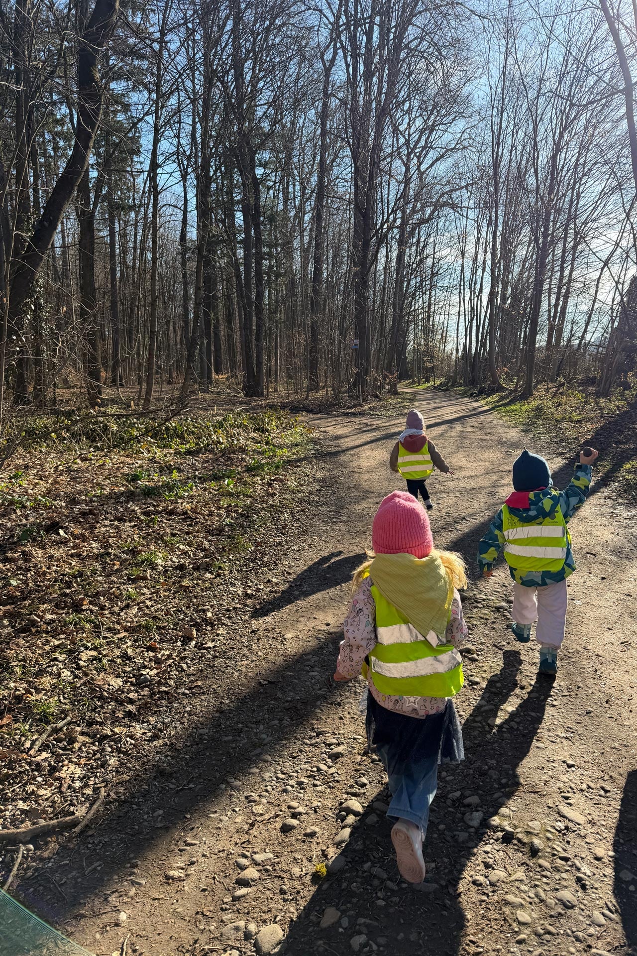 Kita kidsco Wankdorf Spaziergang an einem der Waldtage