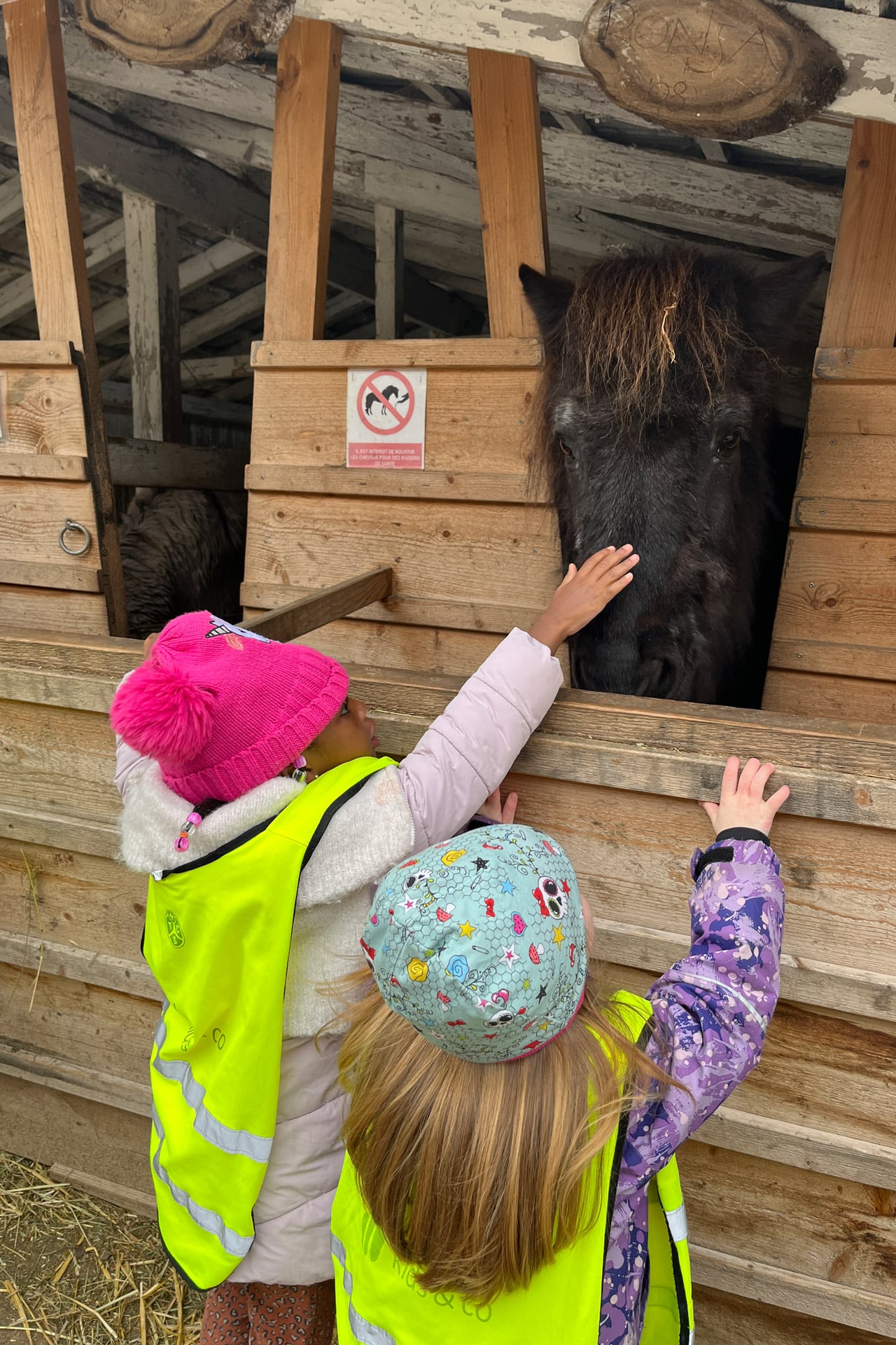 Kita kidsco Bözingen Ausflug zum Pferdestall