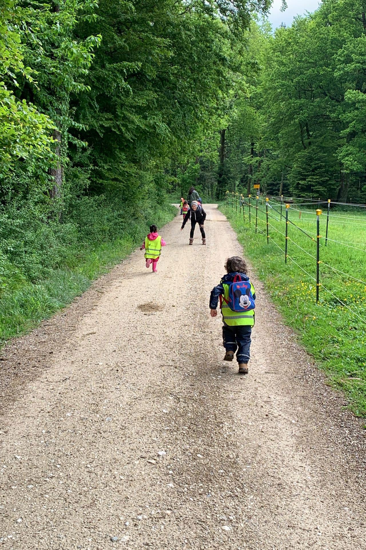 Kita kidsco Bözingen Wettrennen während eines Waldtages