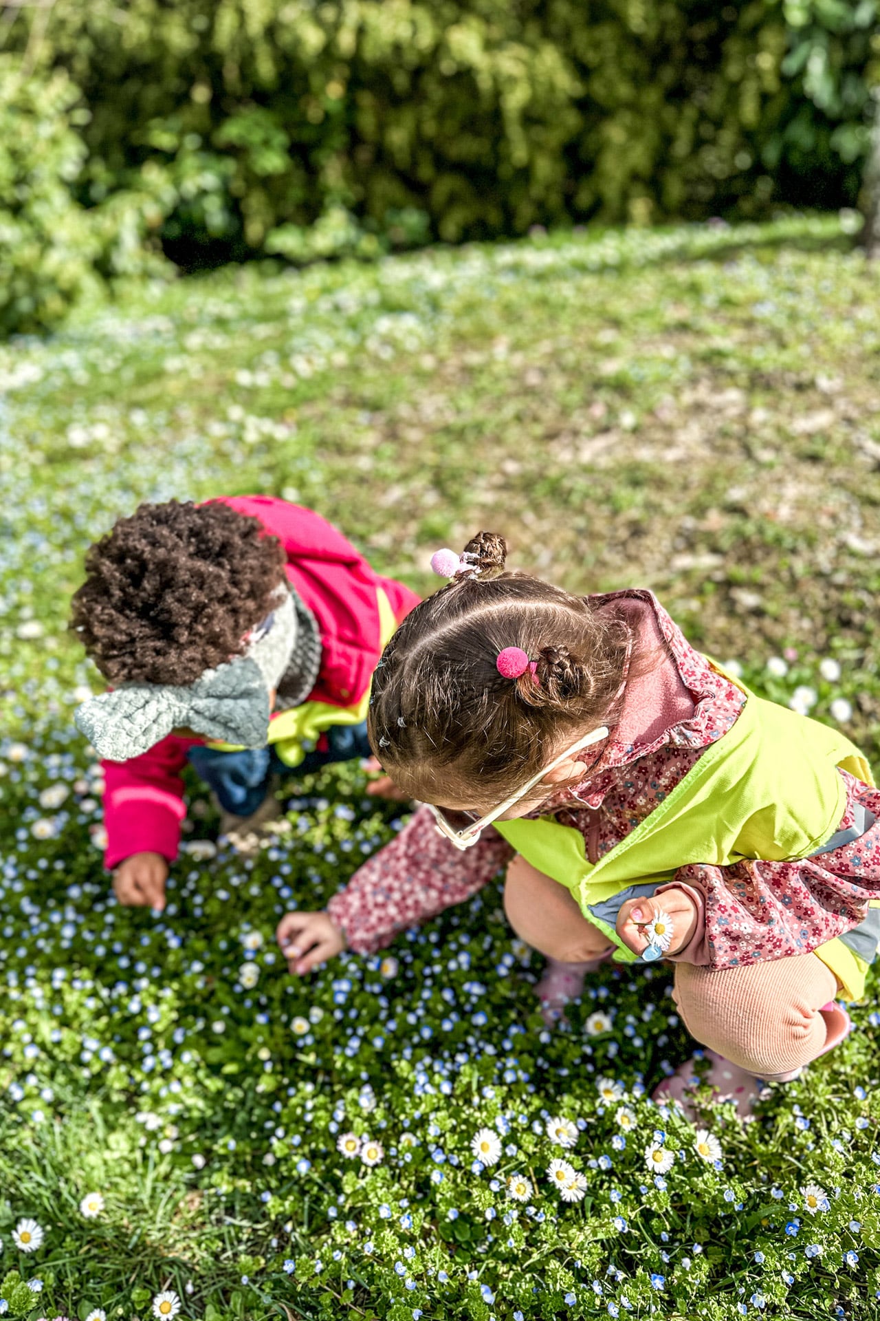 Kita kidsco au Lac Entdecken auf der Blumenwiese