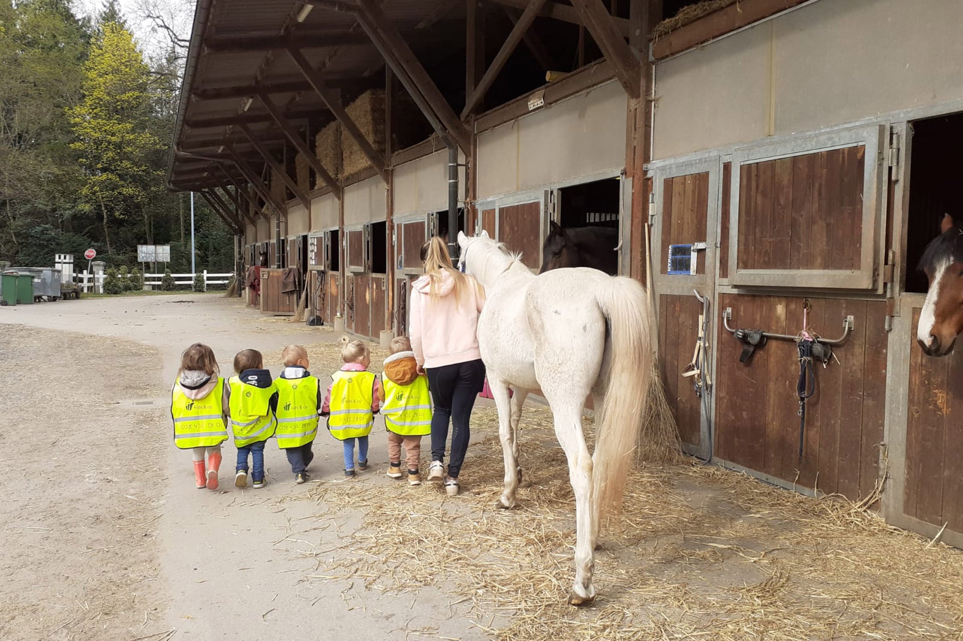 crèches kidsco la Source cheval