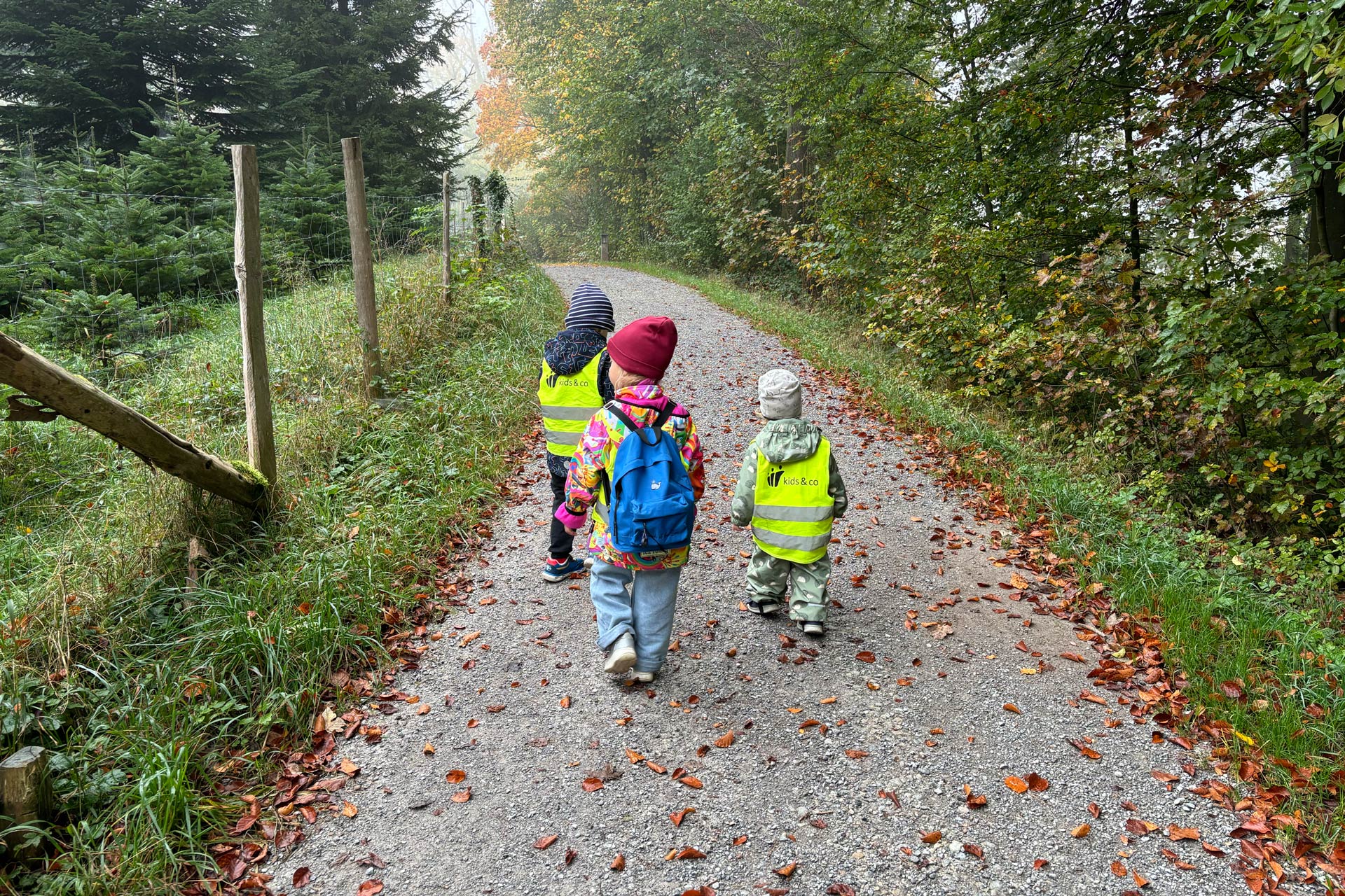 Kita kidsco Binzallee Kinder auf einem Waldweg an einem der Waldtage