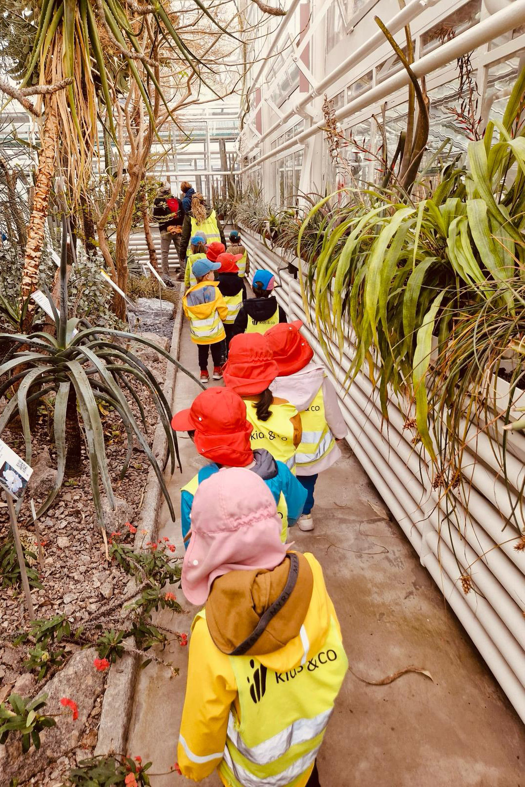 Kita kidsco City Kinder bei einem Ausflug in den Botanischen Garten