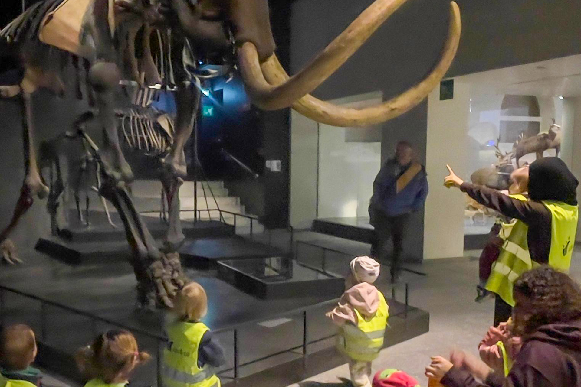Kita kidsco Kreis 7 Kinder lernen über ein Mammut während eines Ausfluges in ein Museum