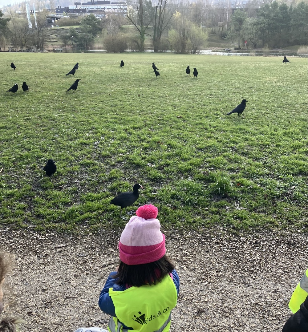 Kita_kidsco_Kreuzwiesen_Spaziergang_Wiese_Voegel