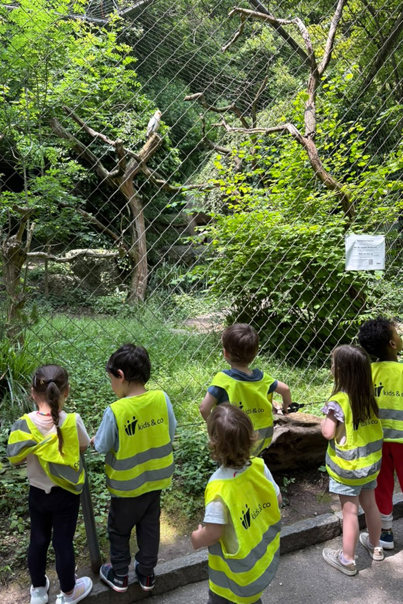 Kita kidsco Letzibach Kinder beobachten einen Vogel in einem Wildgehege