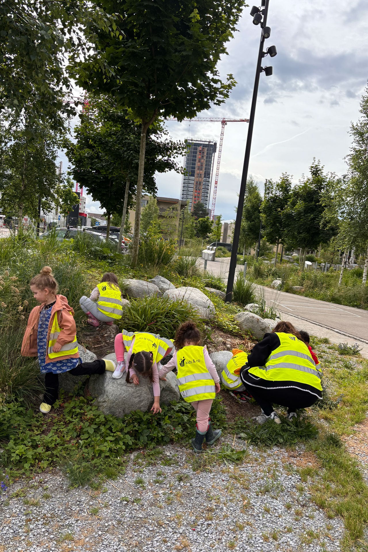 Kita kidsco Letzibach Kinder Entdecken die Natur während eines Ausfluges