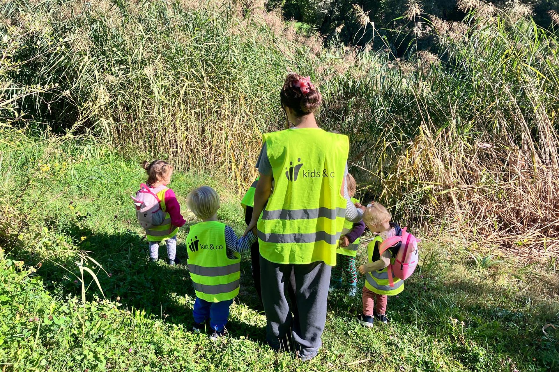 Kita kidsco Tiergarten Kinder bestaunen Schilflandschaft während einem Ausflug