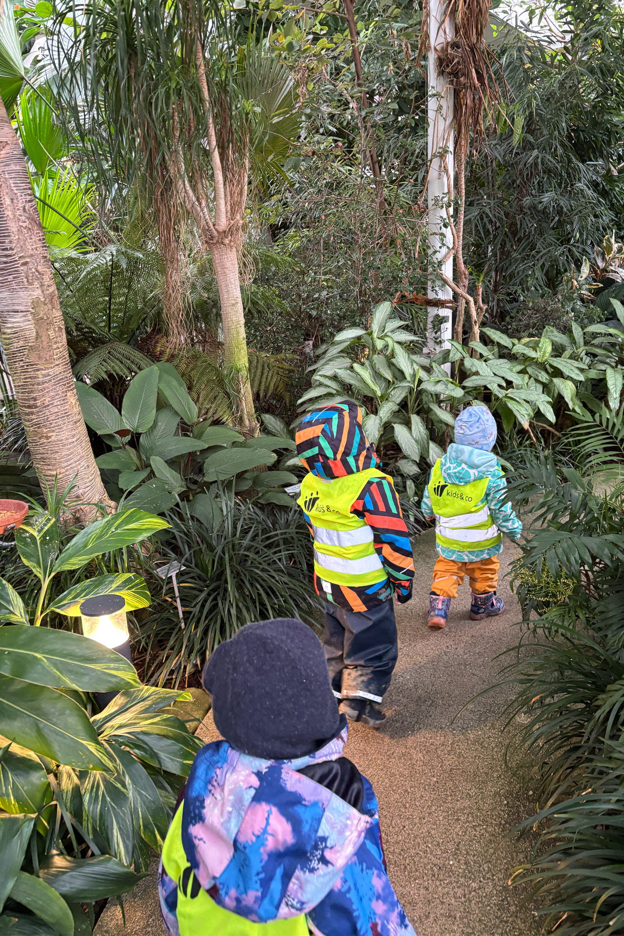 Kita kidsco Tiergarten Kinder entdecken die Pflanzenwelt im botanischen Garten